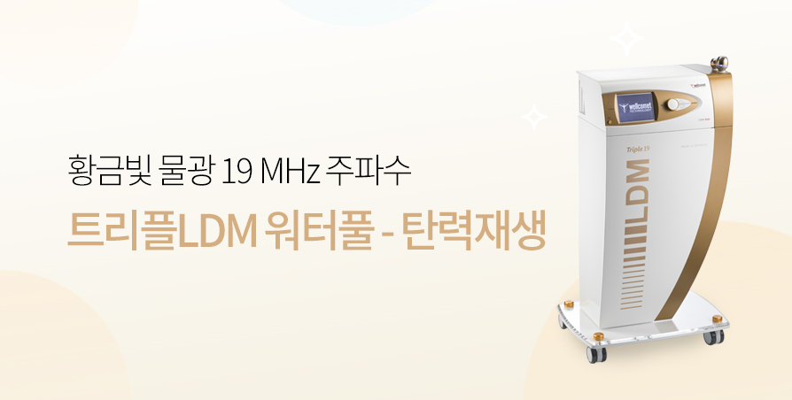 트리플LDM