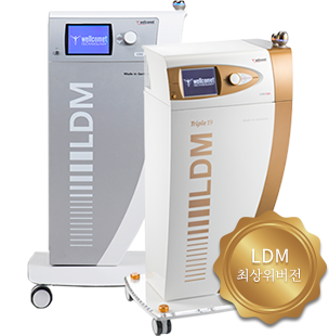 LDM관리