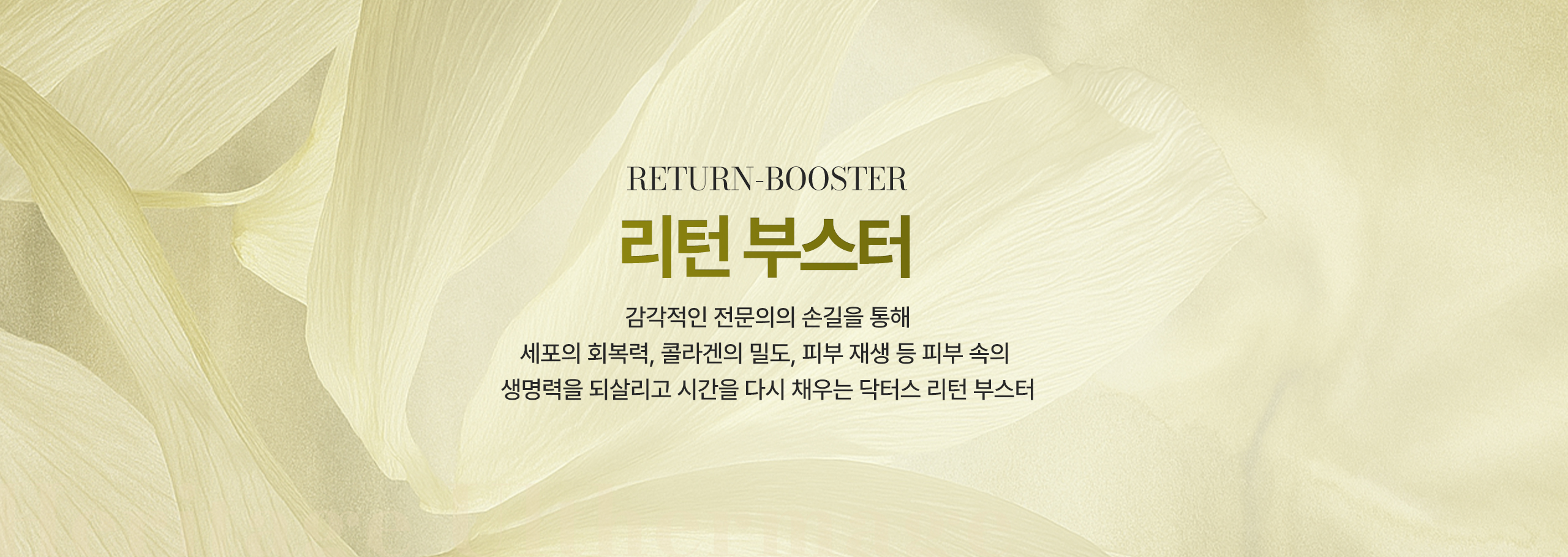 키비쥬얼